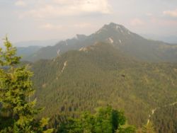 2013-07-20_Regina-F-Rau_Kochel-Rabenkopf (432).JPG